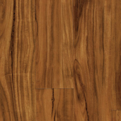 COREtec Floors Coretec Plus Plank Gold Coast Acacia 5" VV023-00201