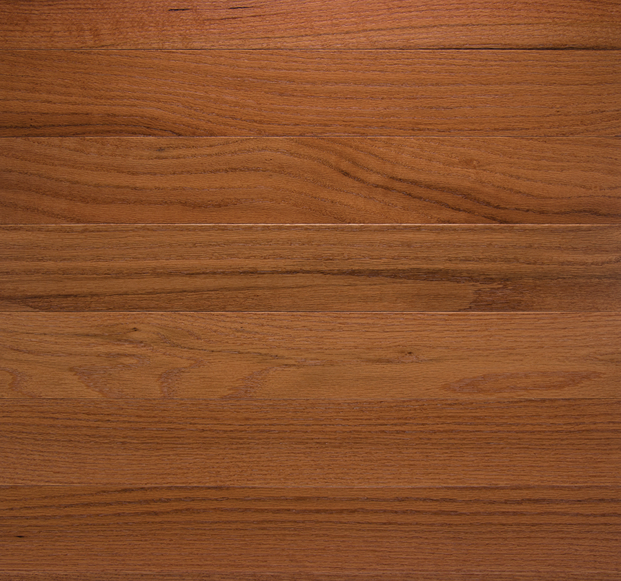 Somerset Classic Collection Red Oak Butterscotch 3-1/4" CL3109