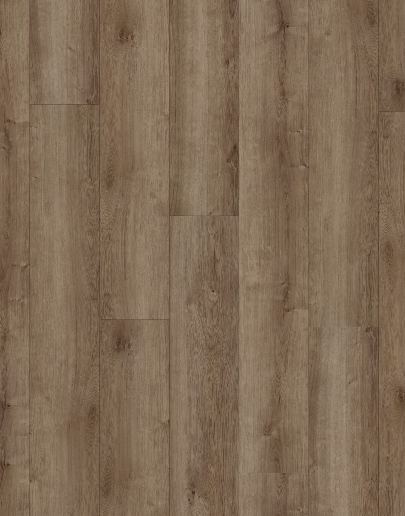 COREtec Floors Coretec Pro Plus Copano Oak 7" VV017-01003