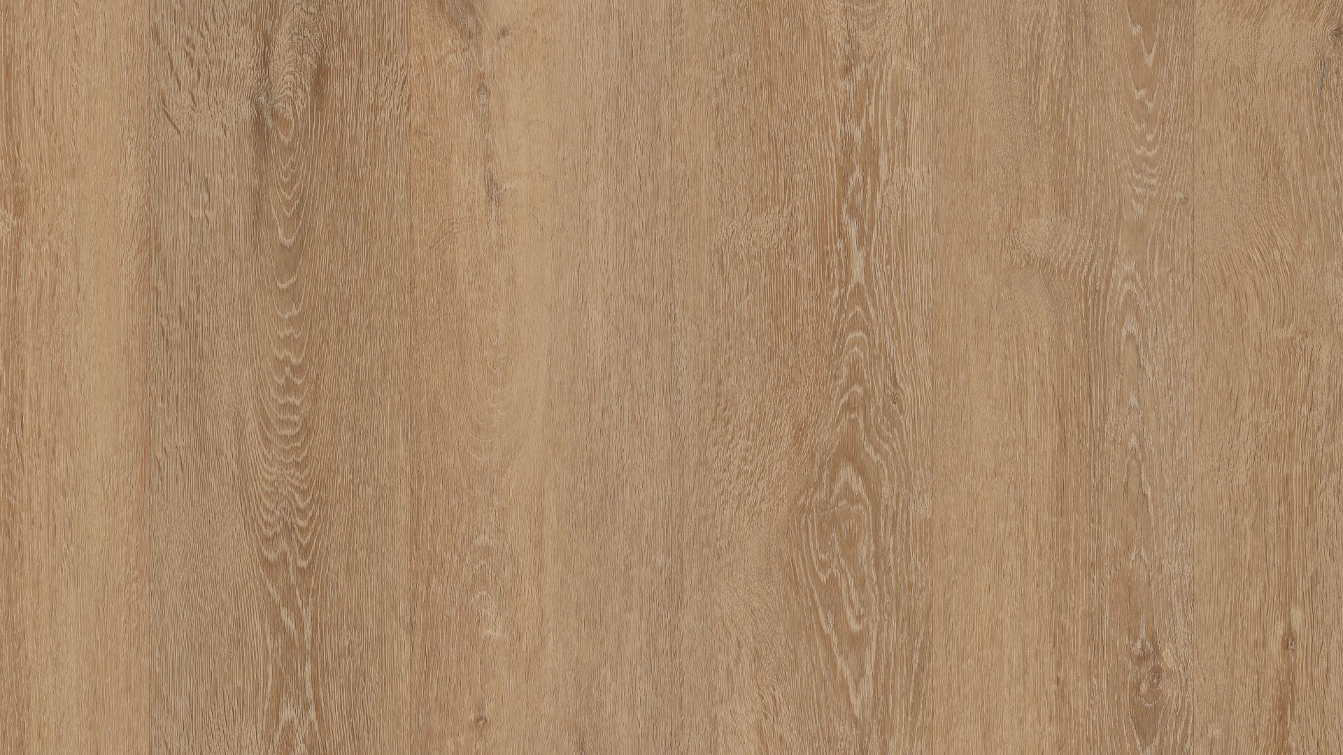 COREtec Floors Integrated Bevel Zawn Oak 7" VV735-04021