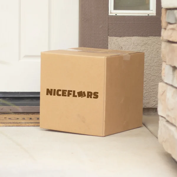 Build-Your-Own Nice Box Samples NICEBOX